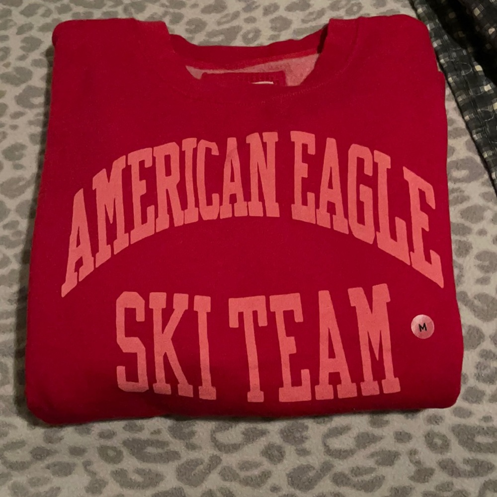 AE sweatshirt